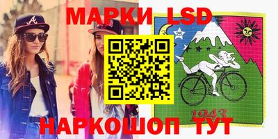 шишки Гулькевичи