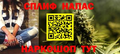 мдпв Гудермес